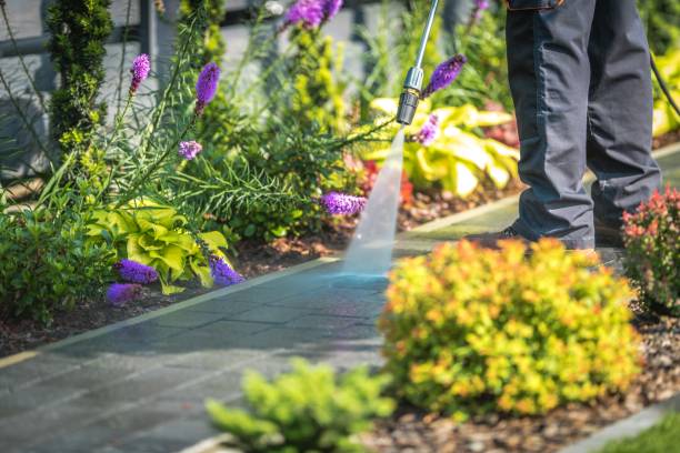 Best Driveway Pressure Washing  in Clinton, UT